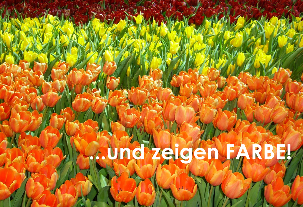 Bild: Unser Motto: Wir lieben GRÜN und zeigen FARBE!